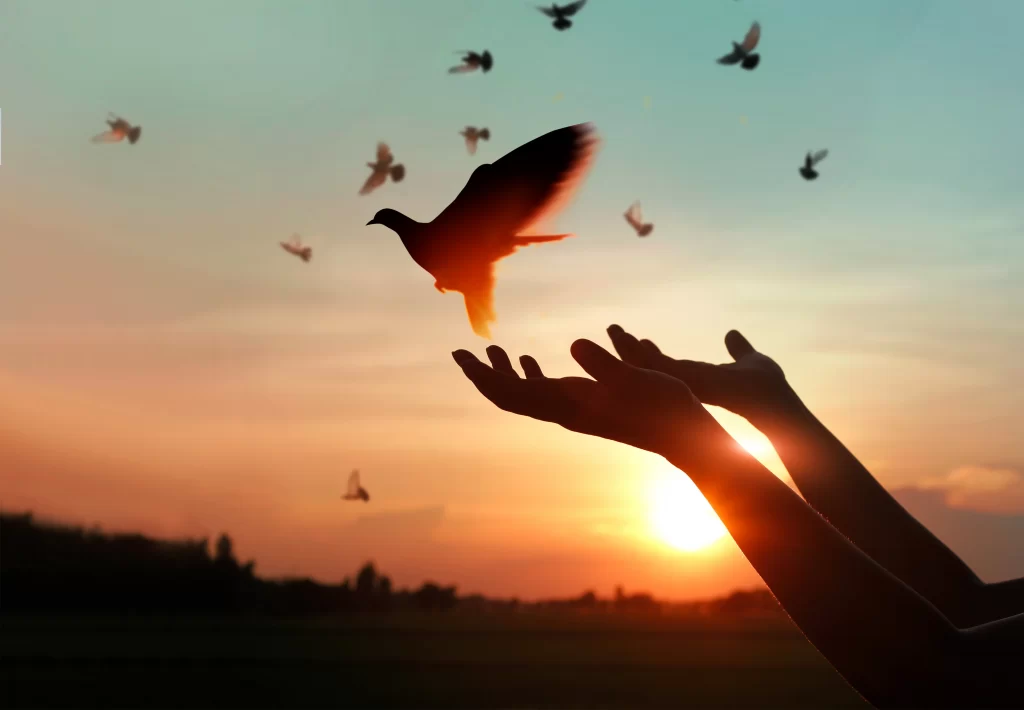 The art of letting go and forgiveness for spiritual growth